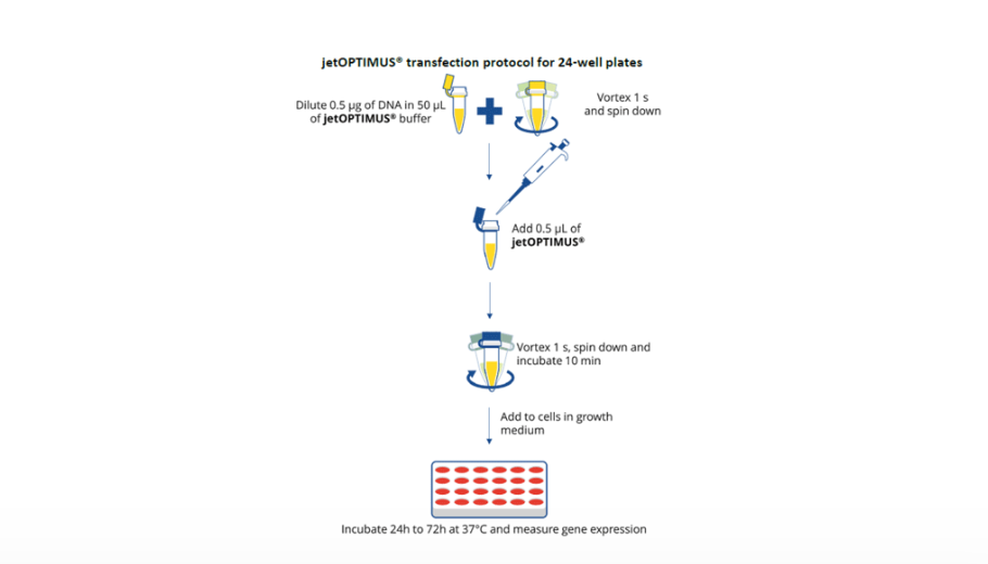 jetOPTIMUS Transfection Reagent