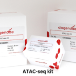 ATAC-seq Kit, Assay for Transposase-Accessible Chromatin